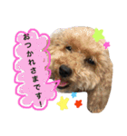 きなことセバスチャン（個別スタンプ：18）