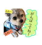 きなことセバスチャン（個別スタンプ：19）
