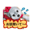 きなことセバスチャン（個別スタンプ：22）