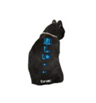 よくつかえるかわいいねこちゃんず（個別スタンプ：16）