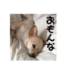 とりすたんぷ 〜特別編〜（個別スタンプ：6）
