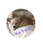 とりすたんぷ 〜特別編〜（個別スタンプ：8）