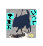 妖怪足舐めずり（チワワ）（個別スタンプ：10）