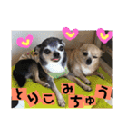 妖怪足舐めずり（チワワ）（個別スタンプ：18）