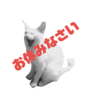 ねこの何気ない事（個別スタンプ：13）