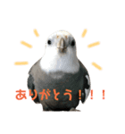 ラックゴンビィ（個別スタンプ：2）