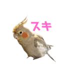 ラックゴンビィ（個別スタンプ：13）