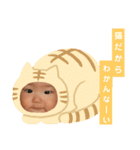 こうすけ 1（個別スタンプ：3）