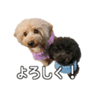 なま＆むぎ2（個別スタンプ：7）