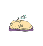 よくいる猫（個別スタンプ：1）