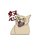 よくいる猫（個別スタンプ：2）