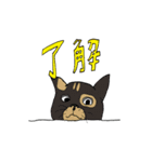 よくいる猫（個別スタンプ：3）