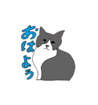 よくいる猫（個別スタンプ：4）
