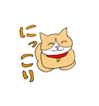 よくいる猫（個別スタンプ：9）