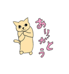 よくいる猫（個別スタンプ：11）