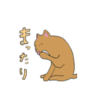 よくいる猫（個別スタンプ：14）