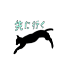 よくいる猫（個別スタンプ：15）