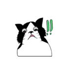 よくいる猫（個別スタンプ：16）