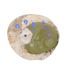 赤目のパスタしろまるくんの気持ち（個別スタンプ：6）