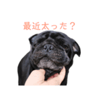 やる気のないはるちゃん（個別スタンプ：3）