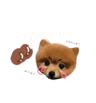 ポメラニアンの
らんちゃん（個別スタンプ：2）