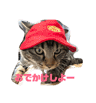 我が家のにゃんスタ（個別スタンプ：34）