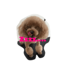 Rooney君パート2（個別スタンプ：5）