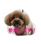 Rooney君パート2（個別スタンプ：8）