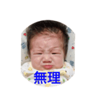こうくんスタンプ1（個別スタンプ：4）