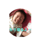 こうくんスタンプ1（個別スタンプ：8）