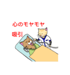 白衣を着たネコ（個別スタンプ：4）