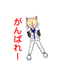白衣を着たネコ（個別スタンプ：33）