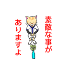 白衣を着たネコ（個別スタンプ：36）