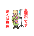 白衣を着たネコ（個別スタンプ：37）