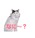 そうすけのスタンプ1 神さん（個別スタンプ：5）