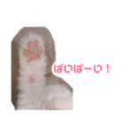 そうすけのスタンプ1 神さん（個別スタンプ：11）