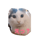 そうすけのスタンプ1 神さん（個別スタンプ：13）