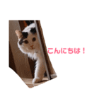 そうすけのスタンプ1 神さん（個別スタンプ：14）