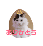 そうすけのスタンプ1 神さん（個別スタンプ：15）