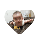 ねねすた（個別スタンプ：1）