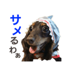 conamon's 5（個別スタンプ：2）