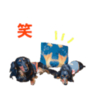 conamon's 5（個別スタンプ：5）