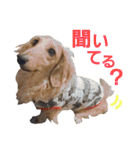 conamon's 5（個別スタンプ：15）