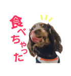 conamon's 5（個別スタンプ：21）