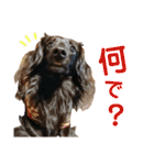 conamon's 5（個別スタンプ：25）