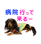 conamon's 5（個別スタンプ：26）