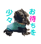 conamon's 5（個別スタンプ：29）