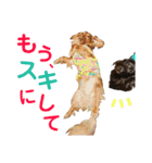 conamon's 5（個別スタンプ：40）