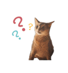 たお猫ちゃん（個別スタンプ：25）