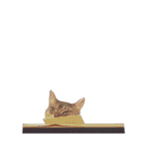 たお猫ちゃん（個別スタンプ：38）